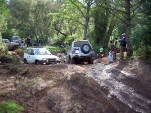 [PICT6850red[1].jpg]